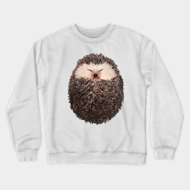 Cute Hedgehog Crewneck Sweatshirt by SinDate